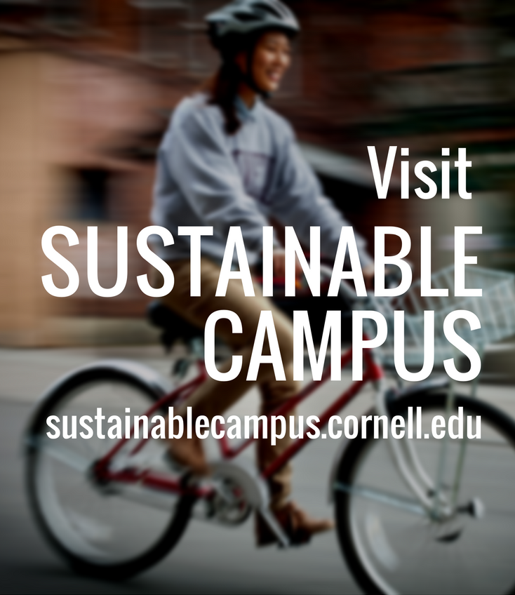 Visit Sustainable Campus