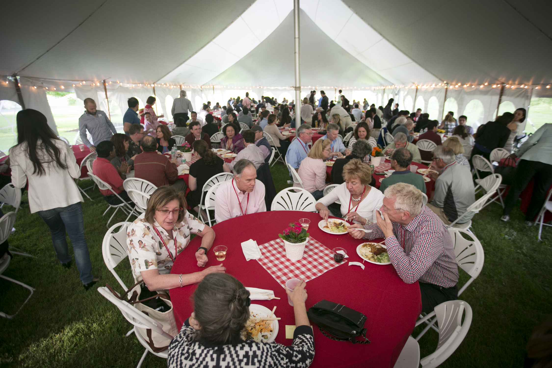 Seated diners in tent