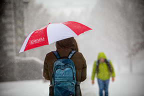 student carrying Cornell umbrella in snow storm