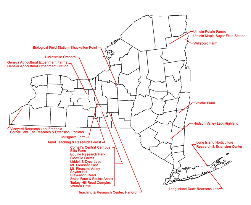 New York State Map Labelled