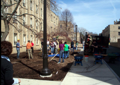 Planting shrubs outside a Cornell building