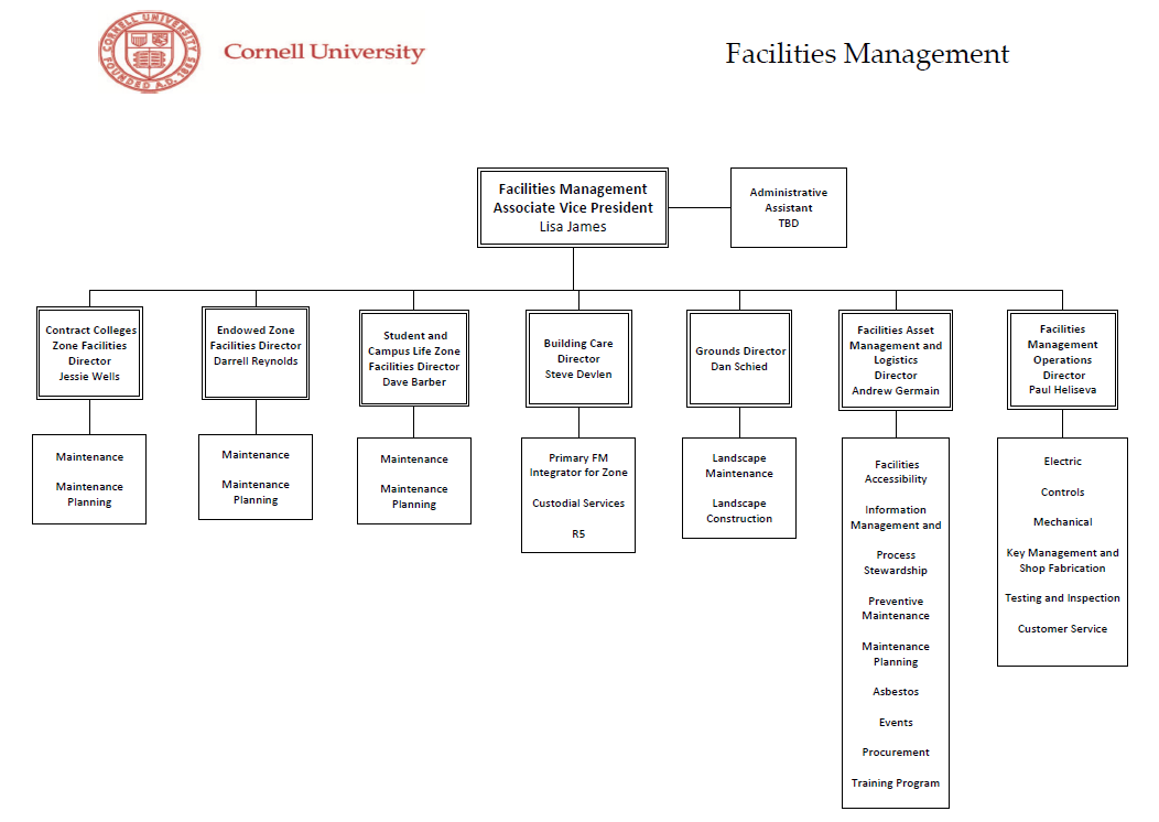 Org chart of Lisa James Direct Reports