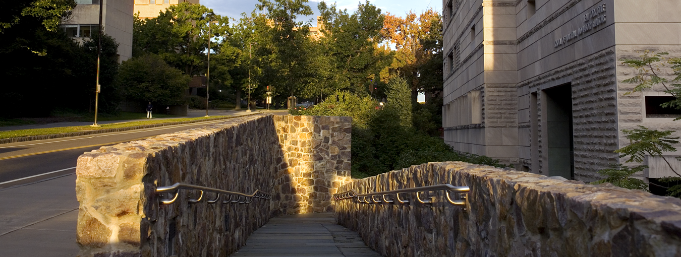 Ives Hall ramp and rail access