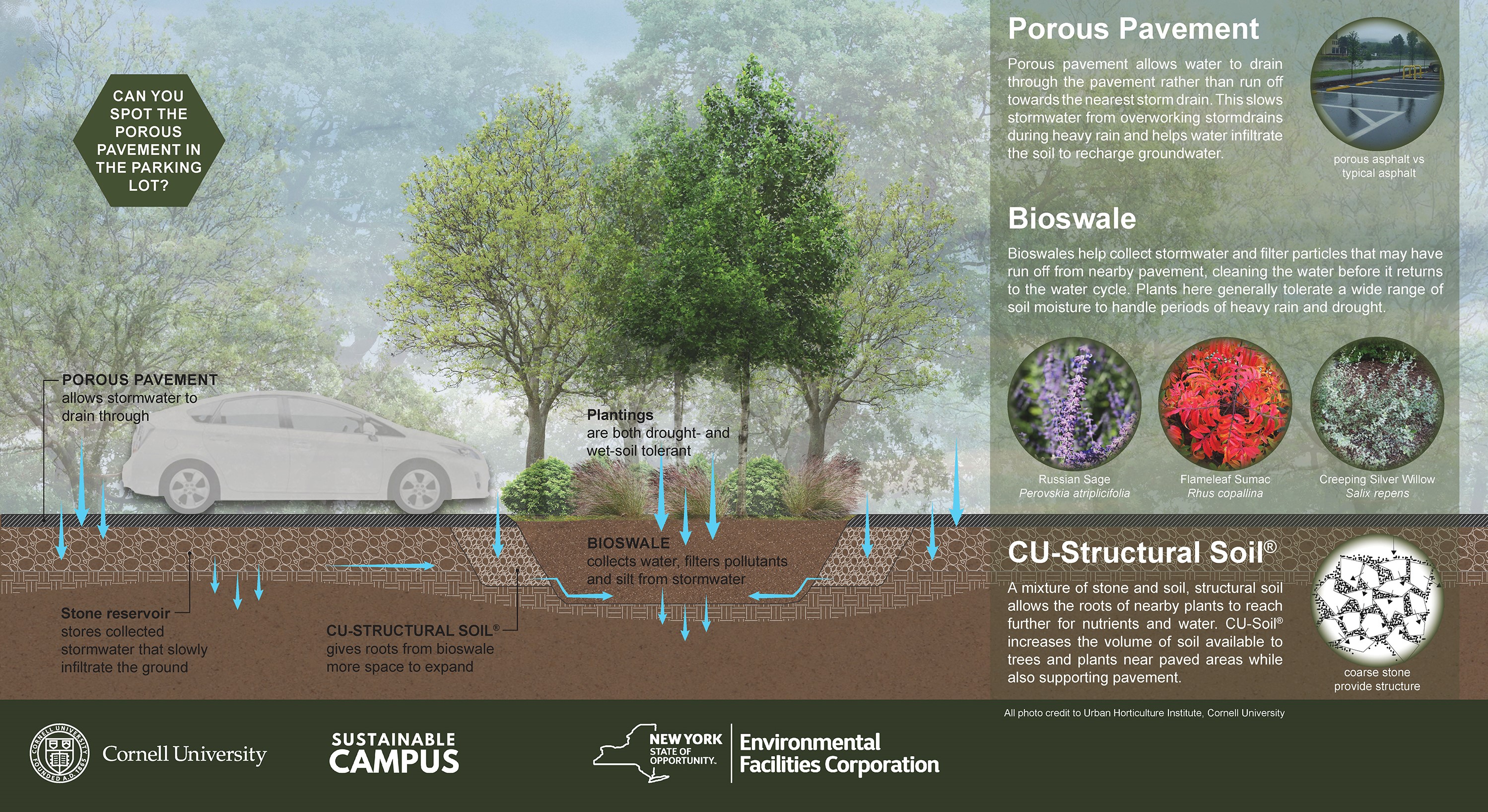 Peterson Green Parking Lot Interpretive Sign