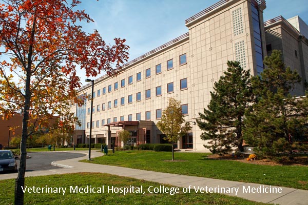 Veterinary Medical Hospital College of Veterinary Medicine