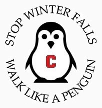 Stop Winter Falls: Walk Like a Penguin