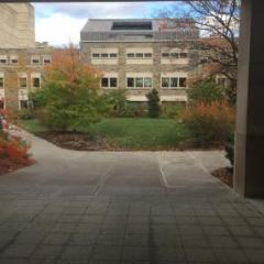 The courtyard at ILR School with walkways and buildings surrounding it