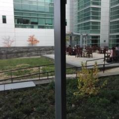 Outdoor tables and near in a courtyard near paths to an entrance of a modern building with many windows