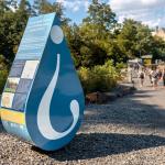 Droplet shaped sculptures on campus